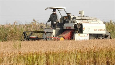 联合国粮农组织数据显示 2017年全球粮食价格同比上涨8.2%_农机通讯社