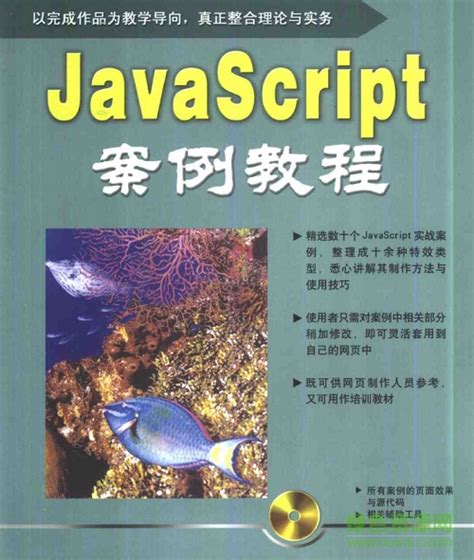 javascript案例教程 pdf下载-javascript案例教程电子版下载-绿色资源网