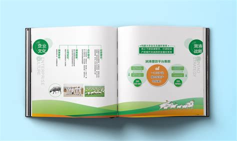 新型畜牧业画册模板-包图网