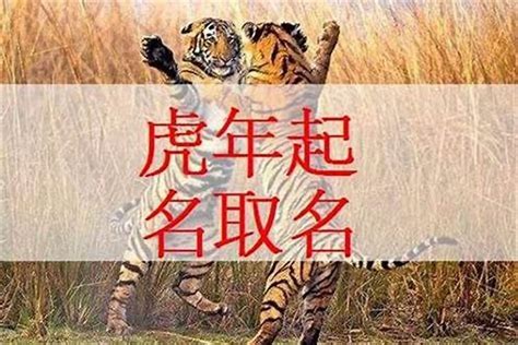 2023年74年属虎的运程，明年属虎的运程怎样_太岁_若朴堂文化