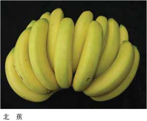 香蕉皮 - 知乎