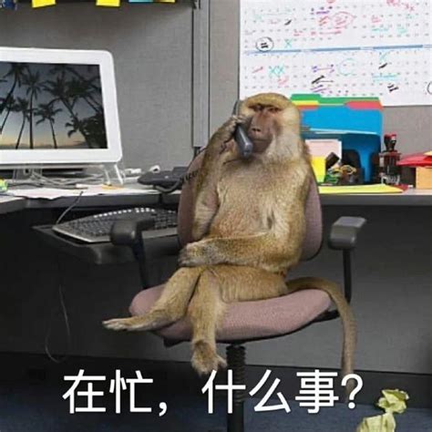 猴子上班表情包图片沙雕|猴子搞笑表情包图片_配图网