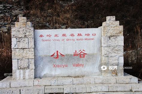 金泰坪图片