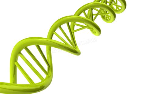 dna基因位点,基因是什么,基因链_大山谷图库