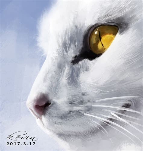 白猫（绘画习作）|插画|插画习作|酷迪 - 原创作品 - 站酷 (ZCOOL)