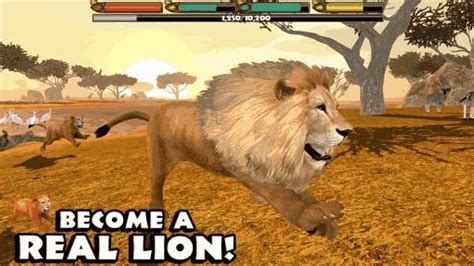 狮子模拟器游戏下载安装_狮子模拟器安卓版手机下载-最初下载