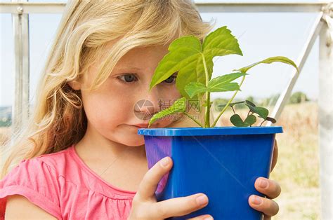 女孩看着植物高清图片下载-正版图片501462004-摄图网