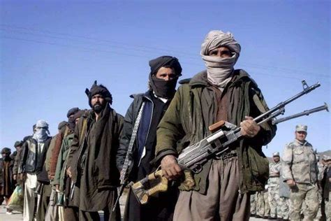 阿富汗塔利班，在与美国的战斗中越打越强的组织|塔利班|阿富汗|阿富汗塔利班_新浪新闻