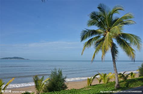 海边椰树图片-海边的美丽沙滩上的椰树素材-高清图片-摄影照片-寻图免费打包下载