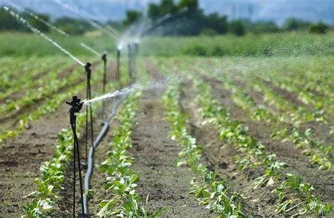 智能灌溉系统能应用哪些灌溉方式 - 知乎