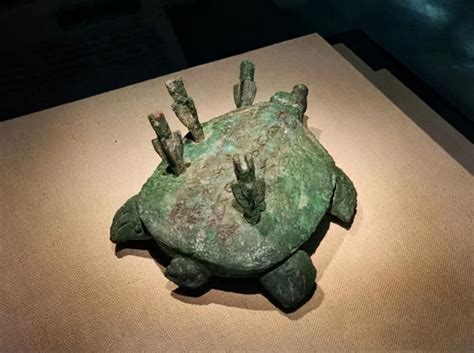 活埋 2000 年 庞贝古城挖出怀孕乌龟 - 国际日报