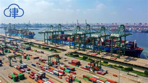 天津港集装箱码头有限公司技术工程部：为世界智慧港口建设贡献“中国方案”