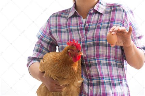 中年女人拿着一只鸡高清摄影大图-千库网