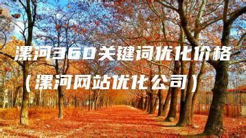 漯河360关键词优化价格（漯河网站优化公司） | 冯导笔记