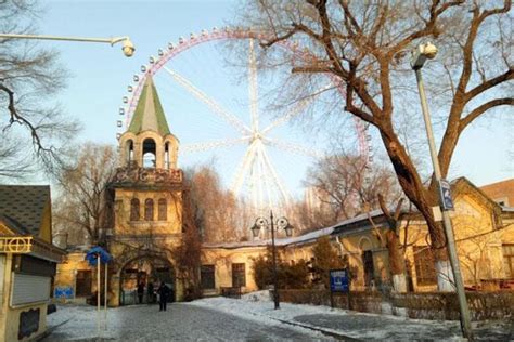 哈尔滨市32个公园设置42个最佳“落叶景观区” - 黑龙江网