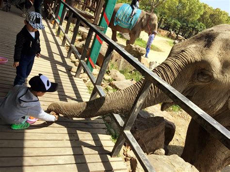 深圳野生动物园将于3月21日恢复开放_深圳新闻网
