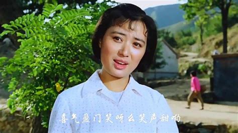喜盈门（1981年赵焕章导演电影） - 搜狗百科