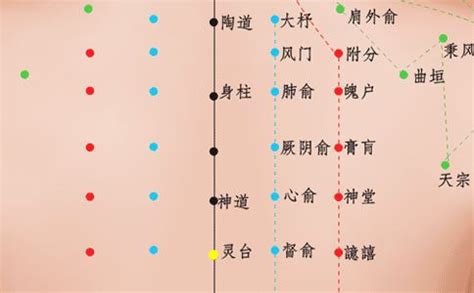 灵道的准确位置图图片