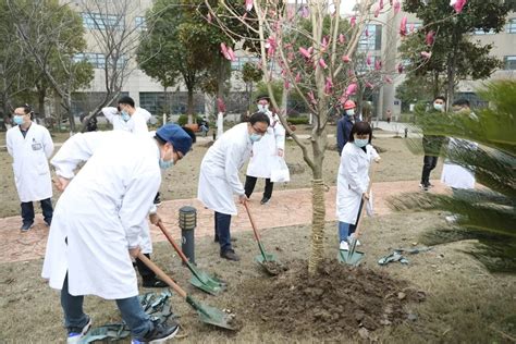 “推进绿美广东生态建设，促进人与自然和谐共生”植树活动在观湖街道举行_深圳新闻网
