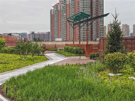 海淀区屋顶绿化项目 | 北林地景 - 景观网