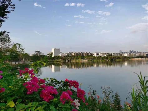 “全省城市建设品质提升”系列报道（一）晋安湖公园： 福州城区最大的海绵生态公园|城市建设|晋安|公园_新浪新闻