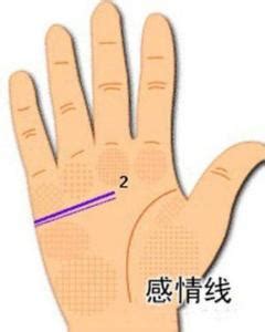 手掌感情线图解图片