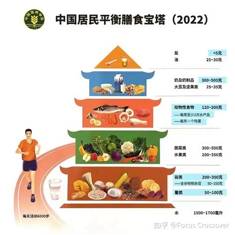 合理膳食 成就健康 —— 2022中国居民膳食指南 - 知乎