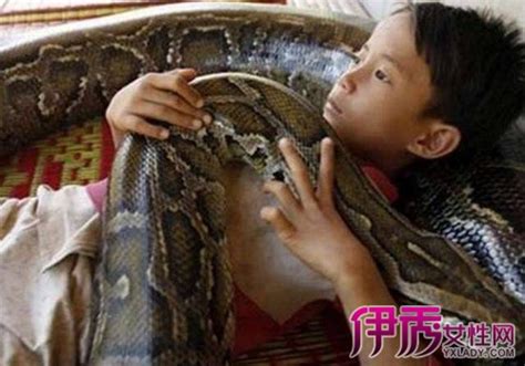 【男孩和巨蟒睡11年】男孩和巨蟒睡11年是真的吗 宠物蟒蛇会不会吃主人_伊秀宠物|yxlady.com