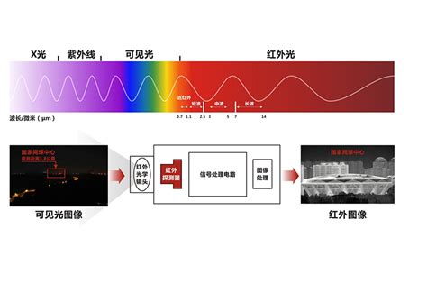 植物照明方面，远红光会产生怎样的影响？--来自中国之光网的回答