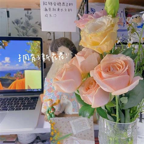 极具温柔的头像女生