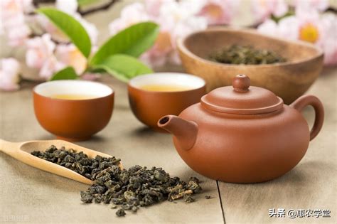 【熟普洱茶】熟普洱茶的正确喝法_喝熟普洱茶的功效与禁忌_绿茶说