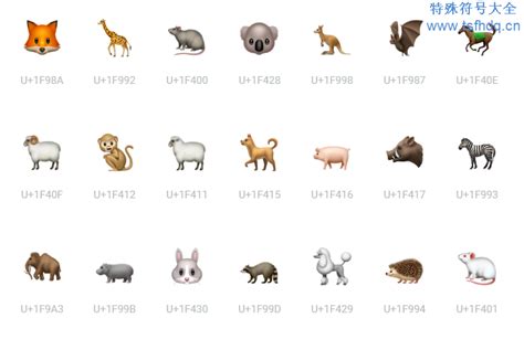 动物名称大全500-生活百科网