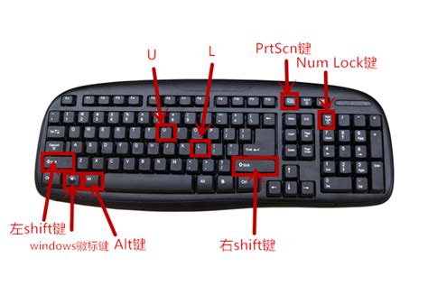键盘上哪个键是全部粘贴啊-ZOL问答
