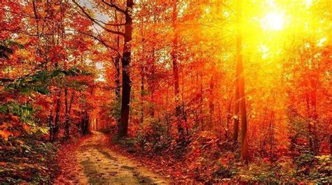 美丽的秋景素材-美丽的秋景图片-美丽的秋景素材图片下载-觅知网