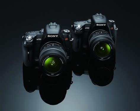 摄影初学者的最佳相机 2022：终极入门相机指南（1） - 知乎