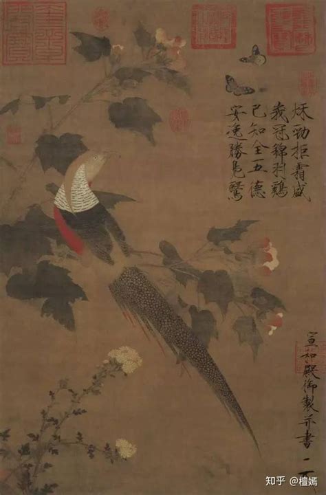 腊梅山禽图图片