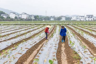 贺州市八步区莲塘镇新燕村县税务局围墙边划拨土地使用权（土地使用面积：58.36平方米） - 司法拍卖 - 阿里资产