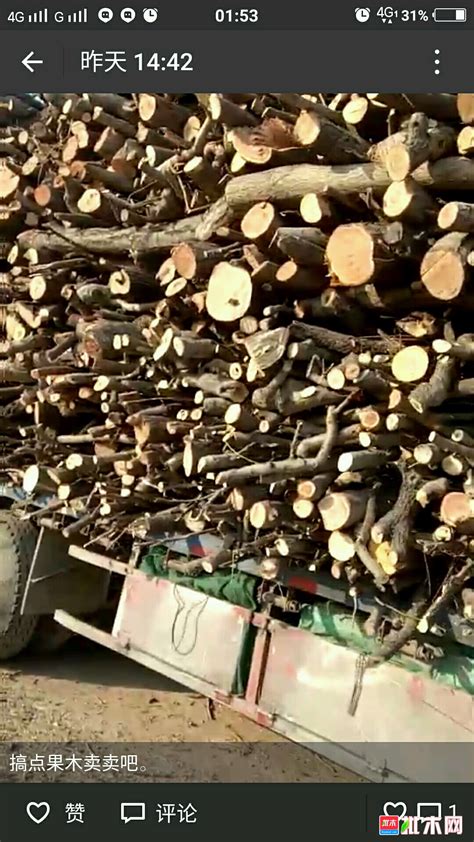 硬杂木原木板材 出售 便宜 密度高 软质也有 无虫眼 桂诚业木业