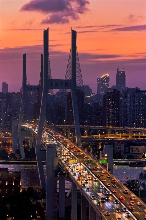 2019南浦大桥_旅游攻略_门票_地址_游记点评,上海旅游景点推荐 - 去哪儿攻略社区