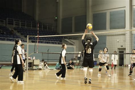 我市气排球代表队在浙江省气排球锦标赛（桐庐站）中喜获佳绩