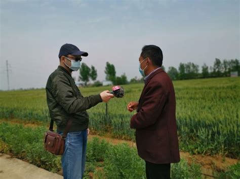 【乡村振兴】红丰镇两个新型农村集体经济项目进展顺利 - 阳江市阳东区人民政府网站