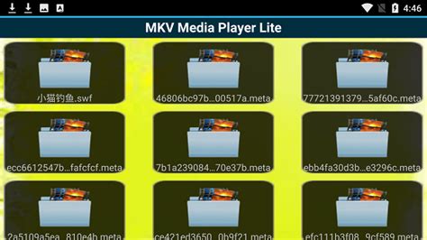 MKV播放器下载最新免费版_MKV播放器9.7 - 系统之家