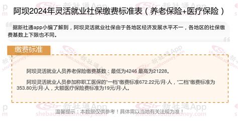 2024阿坝灵活就业人员社保缴费标准表最新 阿坝灵活就业人员社保多少钱一个月 - 社保网