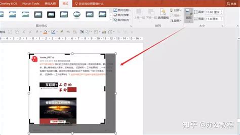 ppt怎么截图图片