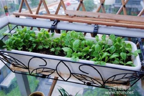阳台菜园 阳台种植蔬菜 城市家庭小菜园 都市田园 农场集装箱-阿里巴巴