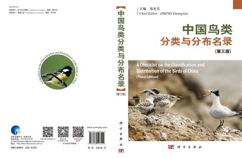 霞浦松山发现国家二级保护野生动物戴胜鸟