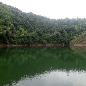 戴记食府，万州能吃到正宗土鱼的地方。🐟水库鱼自家水库流水养殖|万州|鱼|水库_新浪新闻