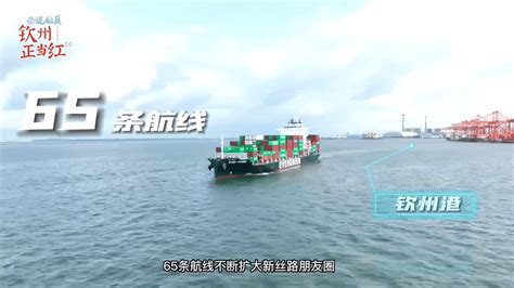 揭秘钦州港自动化集装箱码头 | 壮美答卷·钦州|钦州市|自动化|传媒_新浪新闻