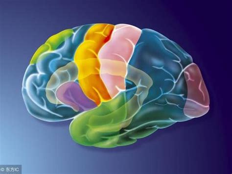脑神经功能紊乱是怎么回事？出现这5个异常，就要小心了|脑神经|症状|反应力_新浪新闻