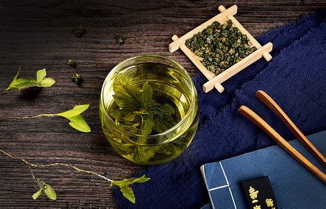 【桑叶茶】桑叶茶的功效与作用_桑叶茶的正确泡法_绿茶说
